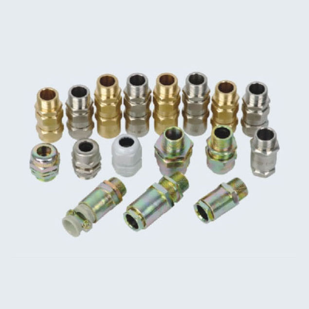 BDM系列電纜夾緊密封接頭( II、e)